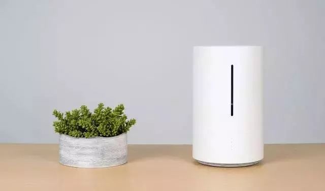 鹿城健康365为什么打不开,鹿城健康365弹窗