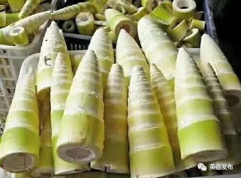 「关注」英德这件“宝”火了!出口货值达5600多万美元!占全省同类产品出口额七成!