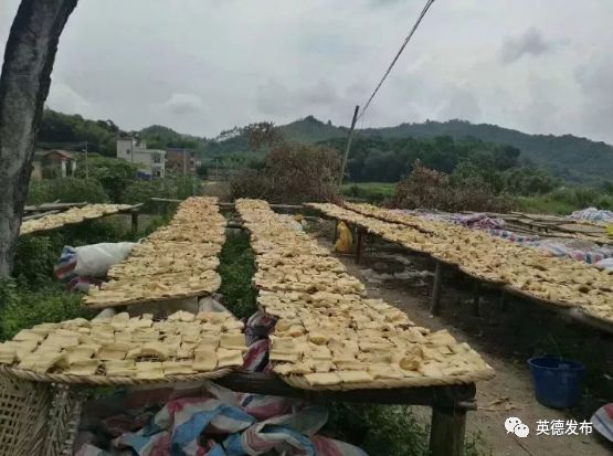 「关注」英德这件“宝”火了!出口货值达5600多万美元!占全省同类产品出口额七成!