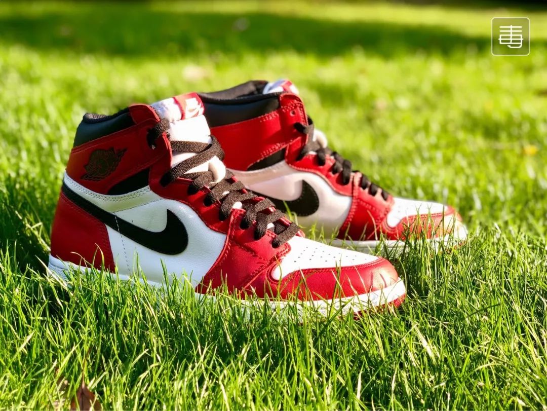 晒鞋神器测评推荐,晒鞋推荐