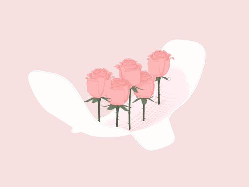 哪几种姨妈巾不能用,姨妈巾日用和夜用型号