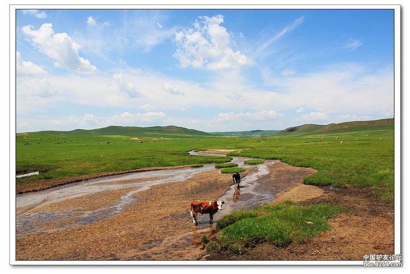克什克腾白音敖包景区门票,克什克腾白音敖包二道河子景区