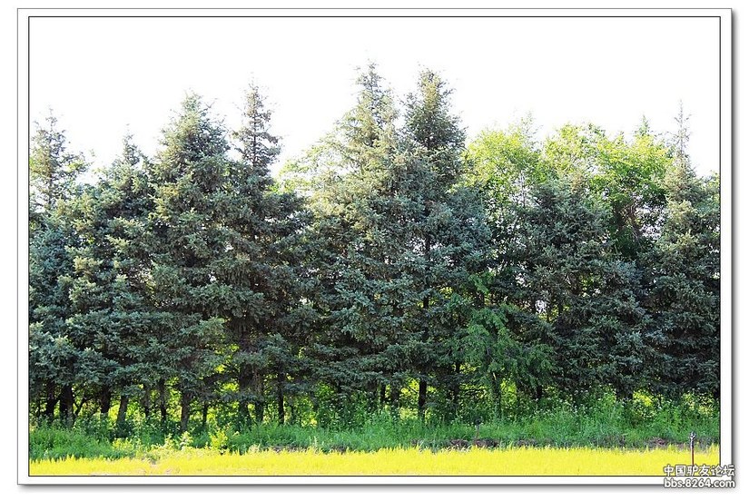 克什克腾白音敖包景区门票,克什克腾白音敖包二道河子景区