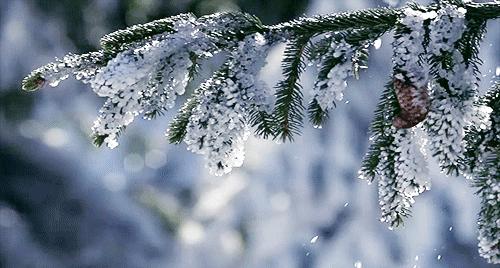 没有粘毛器怎么清理衣服上的浮毛,防止衣物粘毛小妙招