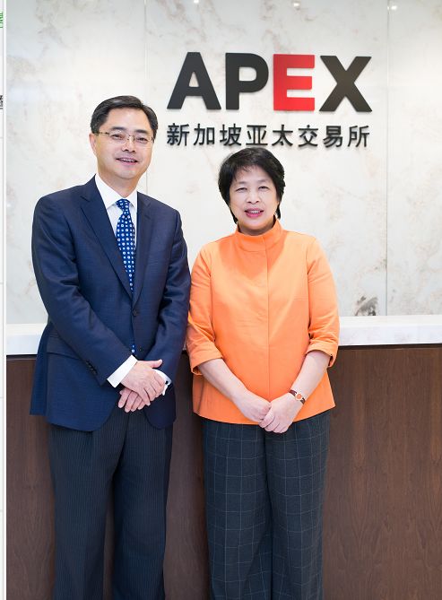 中国期货交易所朱玉辰,期货公司朱玉辰