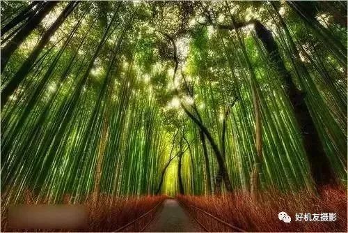 6种摄影方法让照片更高级,照片摄影技巧