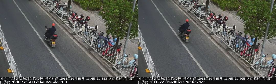 湖州违章处罚标准,湖州交通违章查询12123