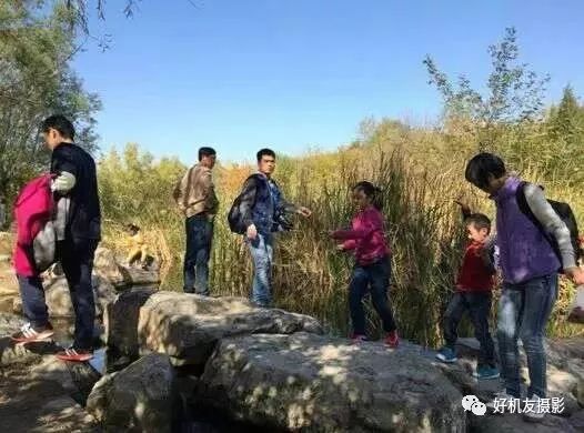 手机摄影制作教程最新热门作品,手机摄影制作与你共享