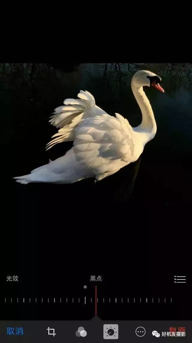 手机摄影制作教程最新热门作品,手机摄影制作与你共享