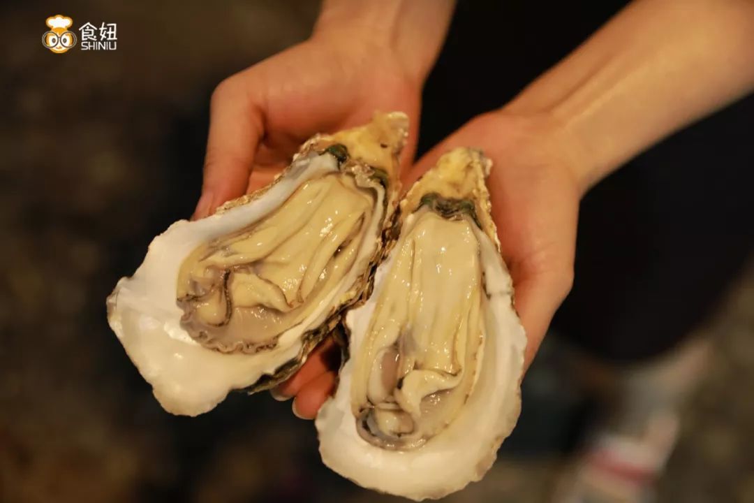 深圳10年前的样子沙井,深圳的沙井历史