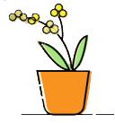 福建永定招宝生态农庄,永定招宝农庄