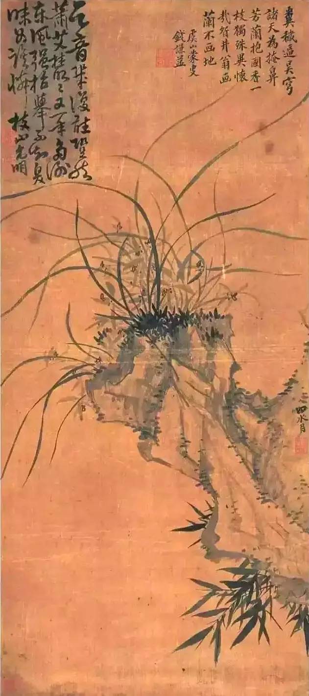 兰花之美朗诵,兰花之美诗句