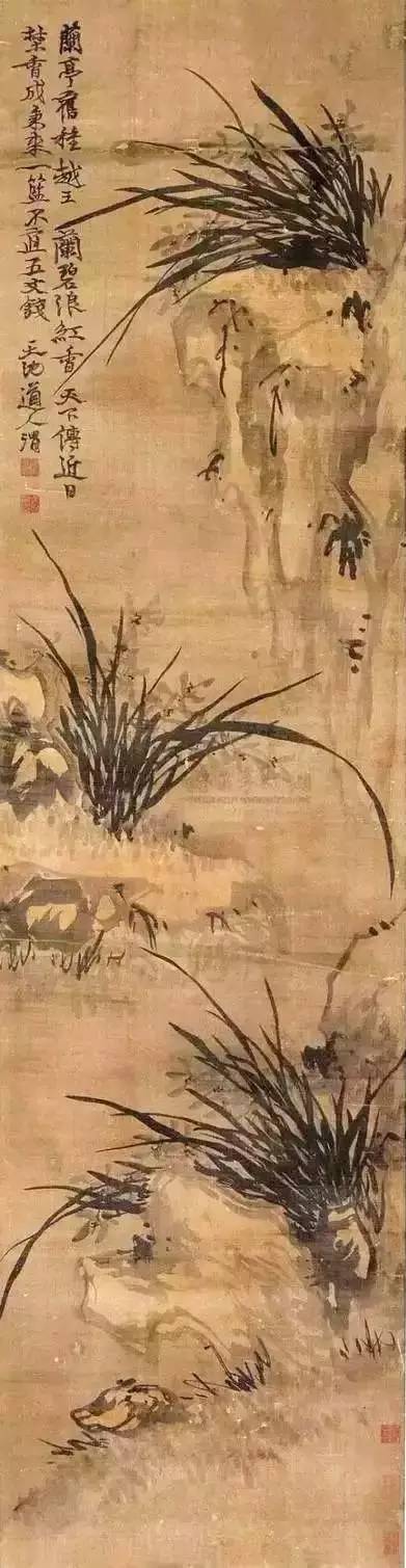 兰花之美朗诵,兰花之美诗句