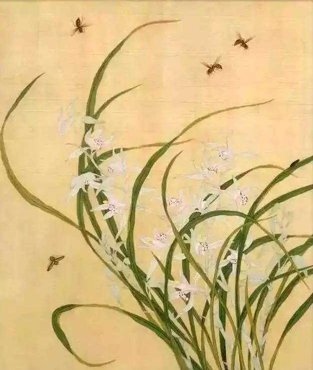 兰花之美朗诵,兰花之美诗句