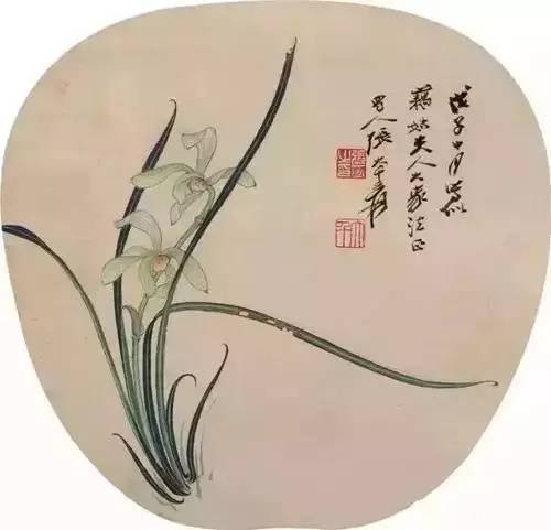 兰花之美朗诵,兰花之美诗句