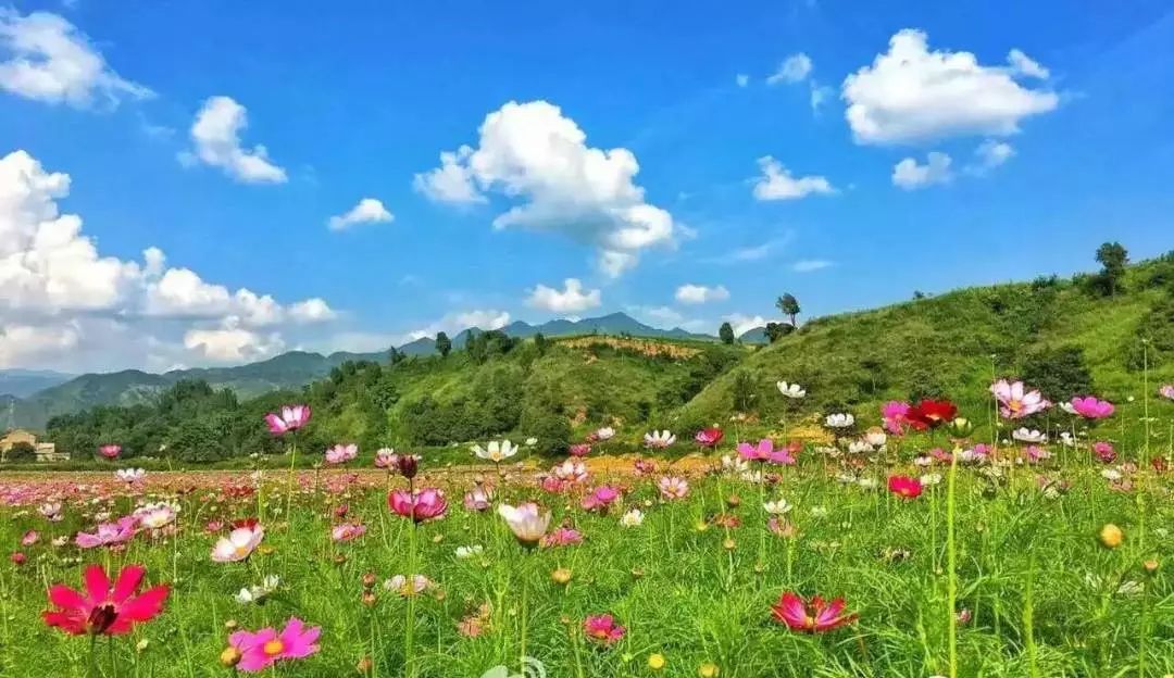 西安蓝田风景好的地方,蓝田秦岭风景最美的地方