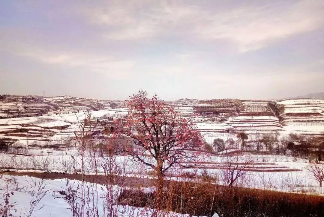 西安蓝田风景好的地方,蓝田秦岭风景最美的地方