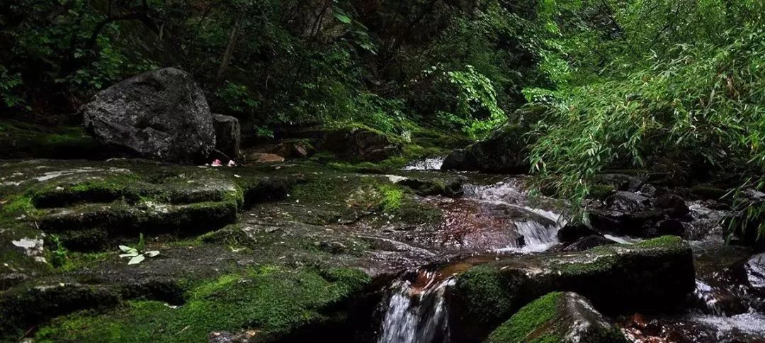 西安蓝田风景好的地方,蓝田秦岭风景最美的地方