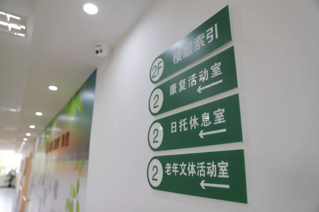 所有人奔向城市，她选择回到浦南