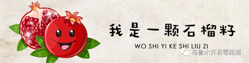 我是一颗石榴籽宣讲视频,广东援疆喀什足球队
