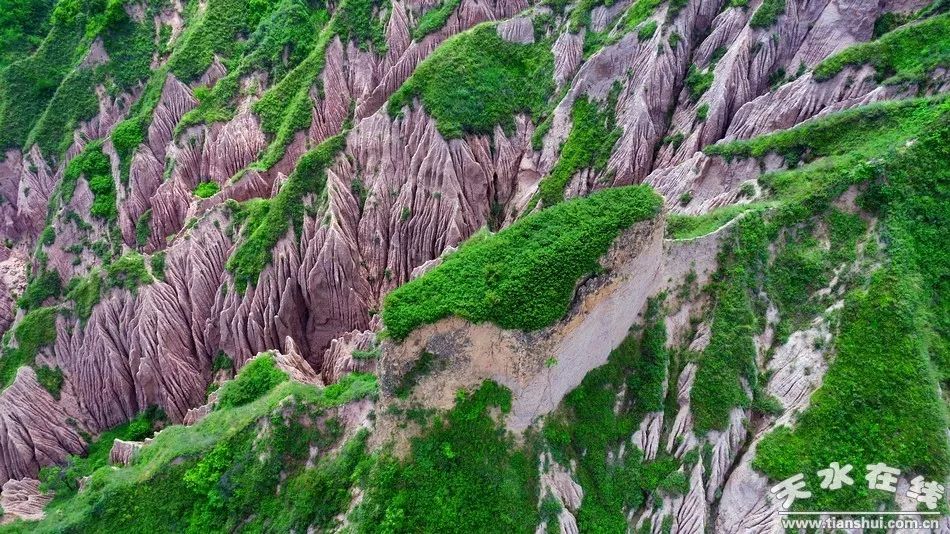 2020中国美丽休闲乡村公示名单,农业农村部中国美丽休闲乡村