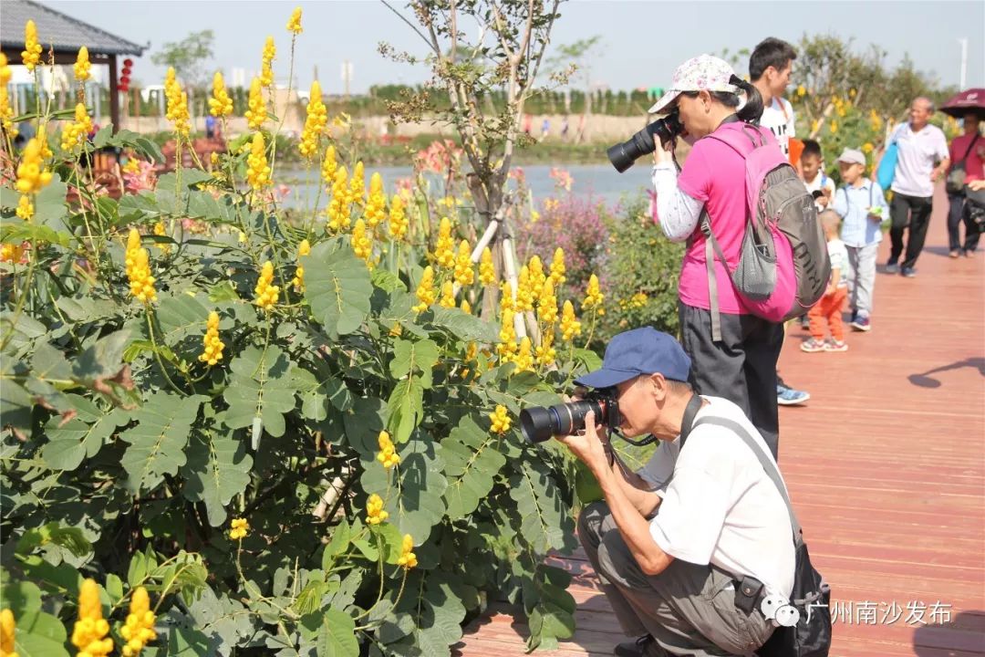 Letsgo!东涌农业生态旅游推广节最后一天~美食花海表演等着你