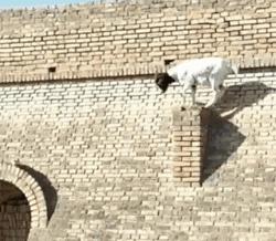 推荐冷知识书籍,20个颠覆你认知的法律冷知识