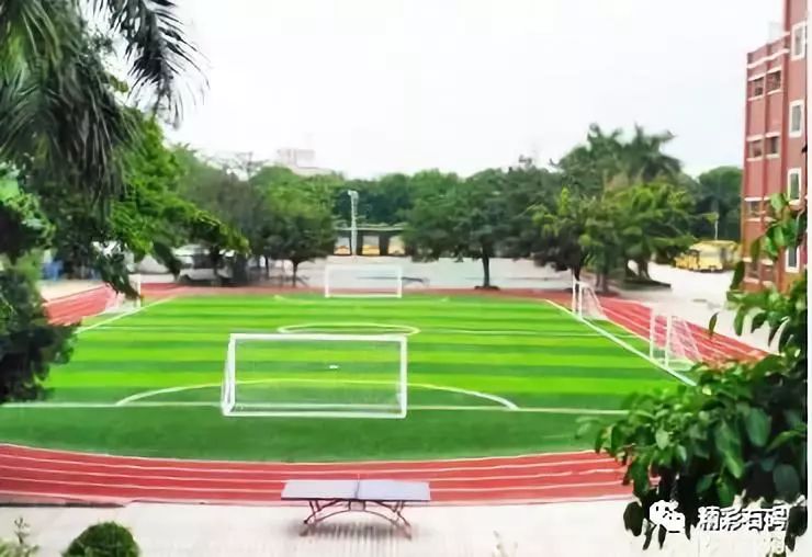 广东省校园足球推广学校名单公示,东莞市第三批品牌学校名单