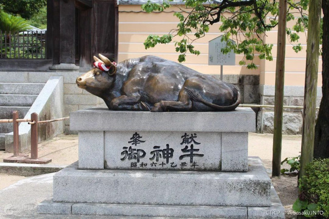 假如日本所有岛屿消失了,如果日本全国停电一天会怎么样