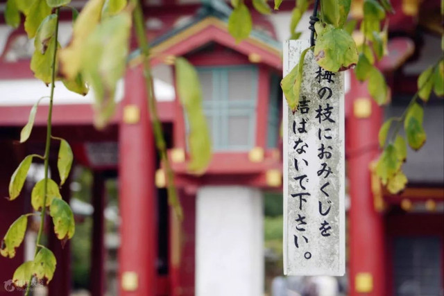 假如日本所有岛屿消失了,如果日本全国停电一天会怎么样