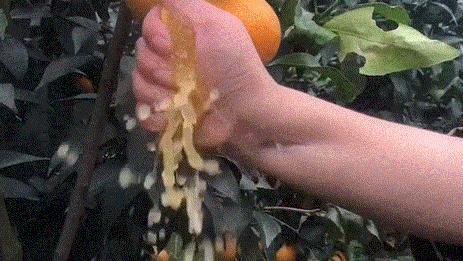 网红爆款零食销量第一,2022双十一零食销量排行榜