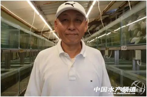 龙王鱼要多少钱一斤,龙王鱼慈鲷价格