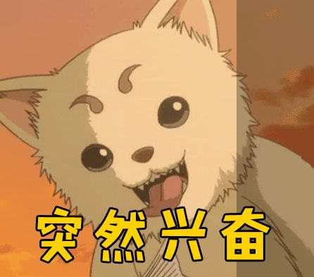 小白鼠敏感,小白鼠身上痒怎么办