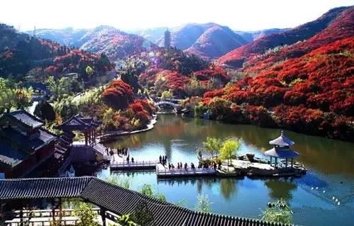 兄dei，你有一份最美赏红叶推荐请注意查收