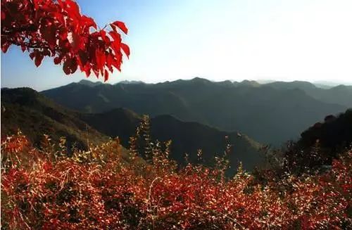 兄dei，你有一份最美赏红叶推荐请注意查收