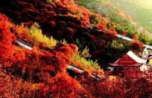 兄dei，你有一份最美赏红叶推荐请注意查收