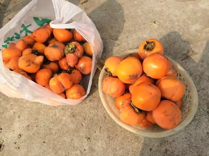 「925丨提醒」男子体内长了两大团……医生却说:快喝可乐!喝一个星期!