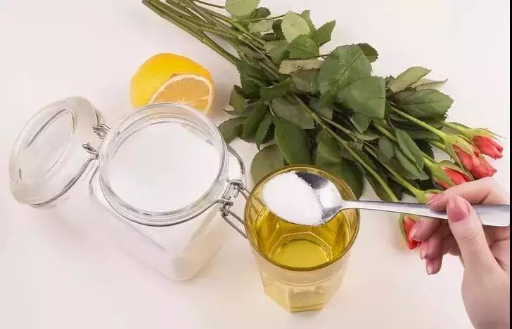 这几种过期药片别扔掉放到花盆里,用过期的药片能种花吗