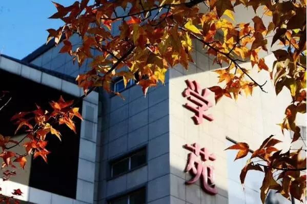 驻马店最美枫叶,驻马店香山红叶美景