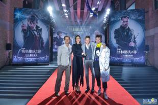 神奇动物在哪里首映礼,神奇动物在哪里首映礼全部视频