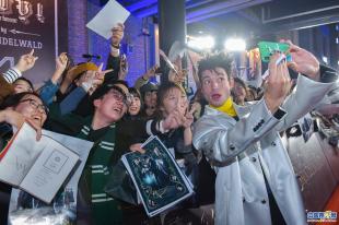 神奇动物在哪里首映礼,神奇动物在哪里首映礼全部视频