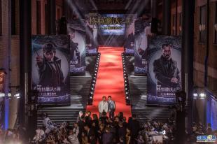神奇动物在哪里首映礼,神奇动物在哪里首映礼全部视频