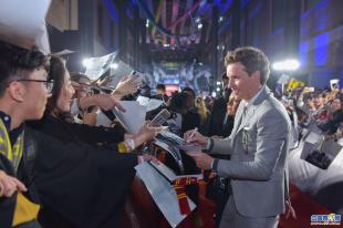 神奇动物在哪里首映礼,神奇动物在哪里首映礼全部视频