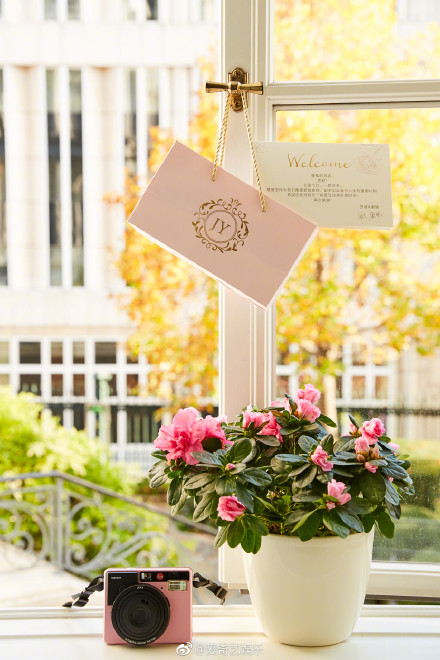 唐嫣谢楠,谢楠和唐嫣