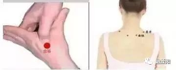 胃痛咳嗽出血吃什么中药材好,胃疼便秘中医绝学