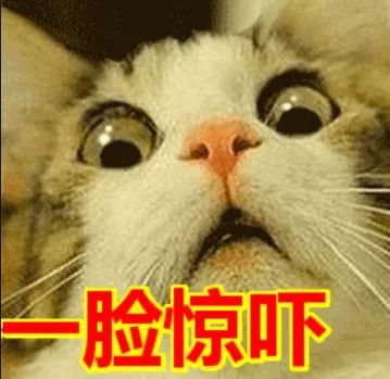 ugg打官司,ugg出问题