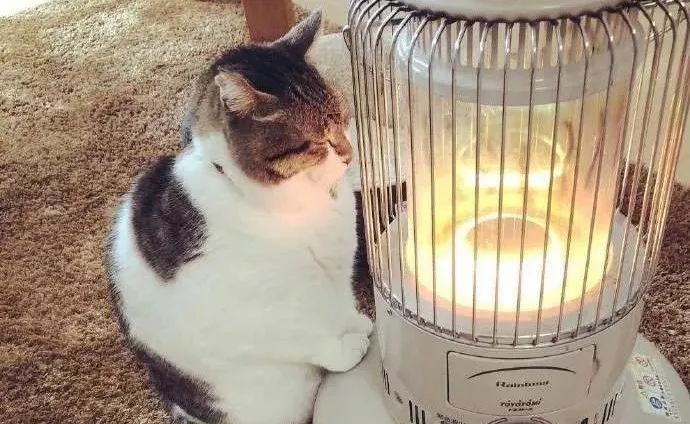 给跪了!在办公室用公司饮水机煮火锅,奇葩网红还用各种工具烹饪食物……这种脑洞大开要不得!