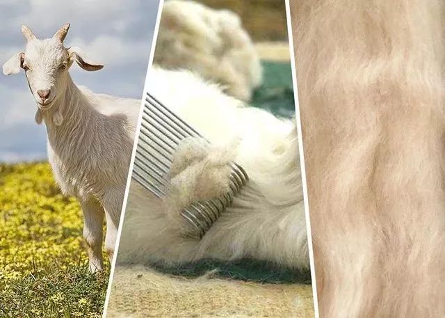 一条好物节｜经典款羊皮毛一体雪地靴，轻薄温暖的羊绒连裤袜