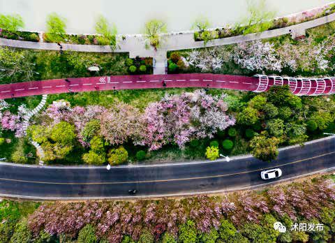 宿迁沭阳：这份“绿色福利”你值得拥有~