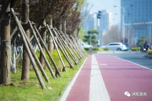 宿迁沭阳：这份“绿色福利”你值得拥有~